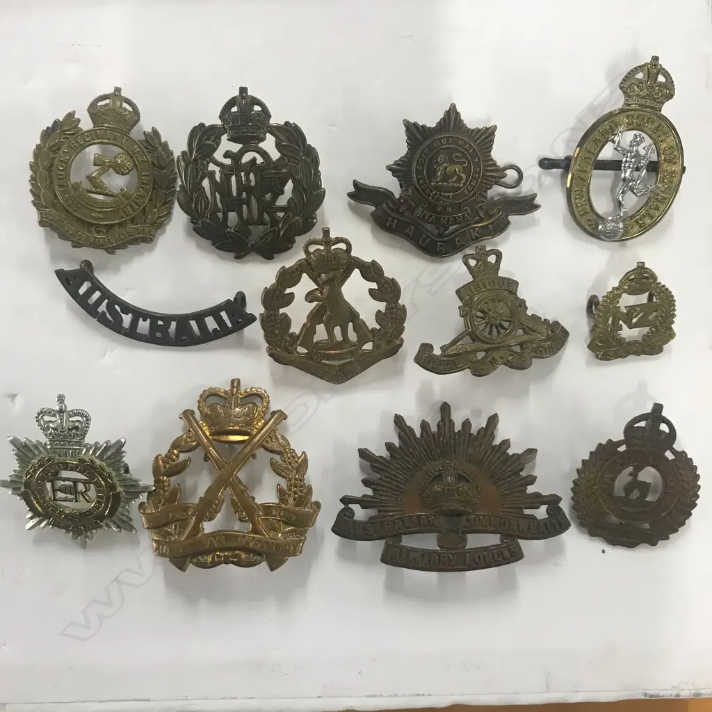CAP/COLLAR BADGES & SHOULDER TITLE: VARIOUS AUSTRALIAN & NZ. (12) Image 1++