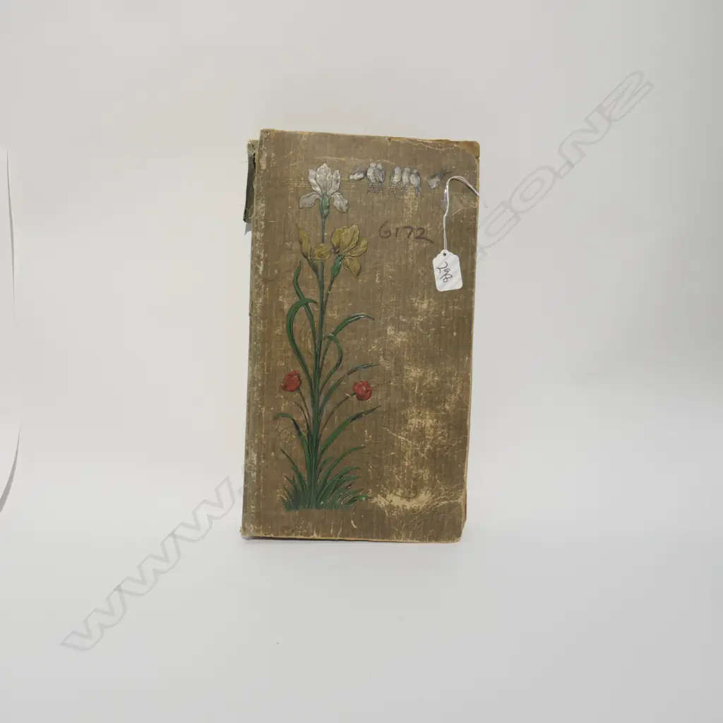 ALBUM VINTAGE NZ & WORLD POSTCARDS Image 1++