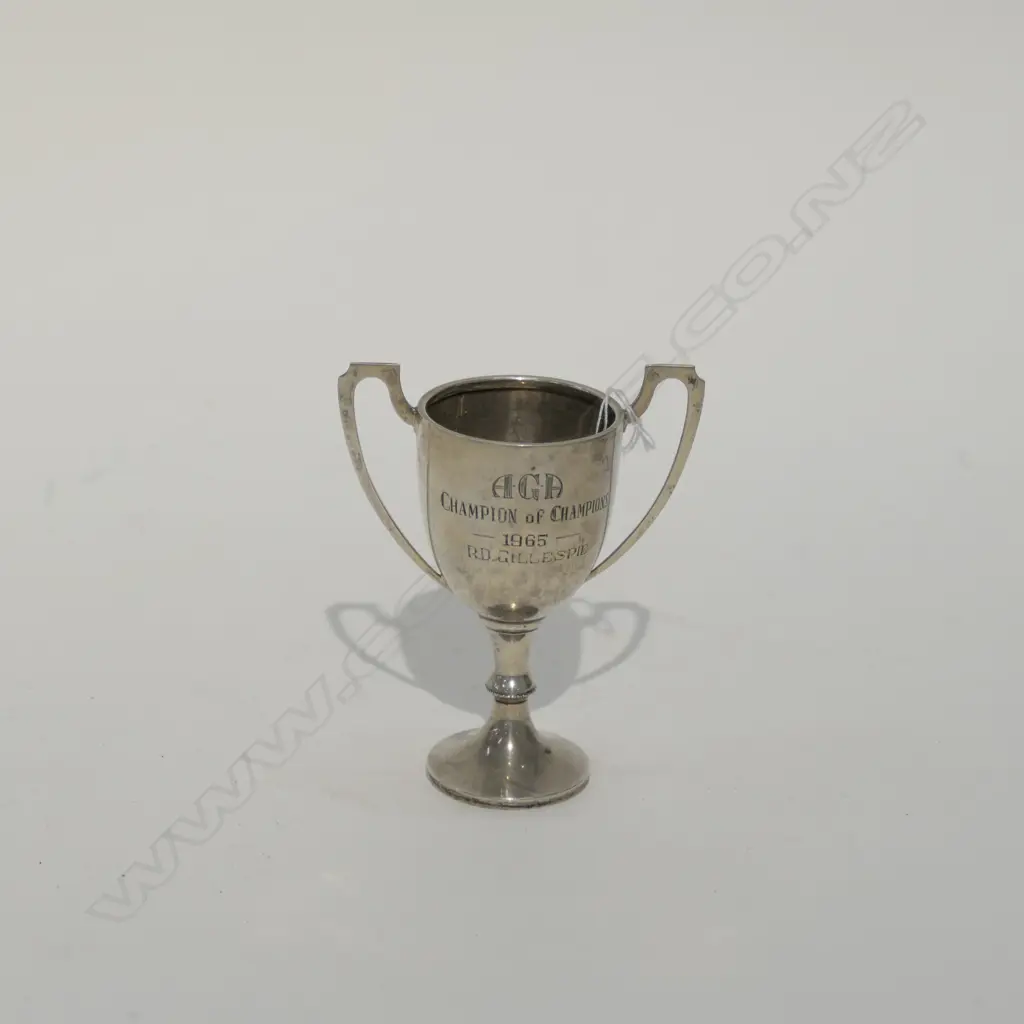 SILVER TROPHY CUP Image 1++
