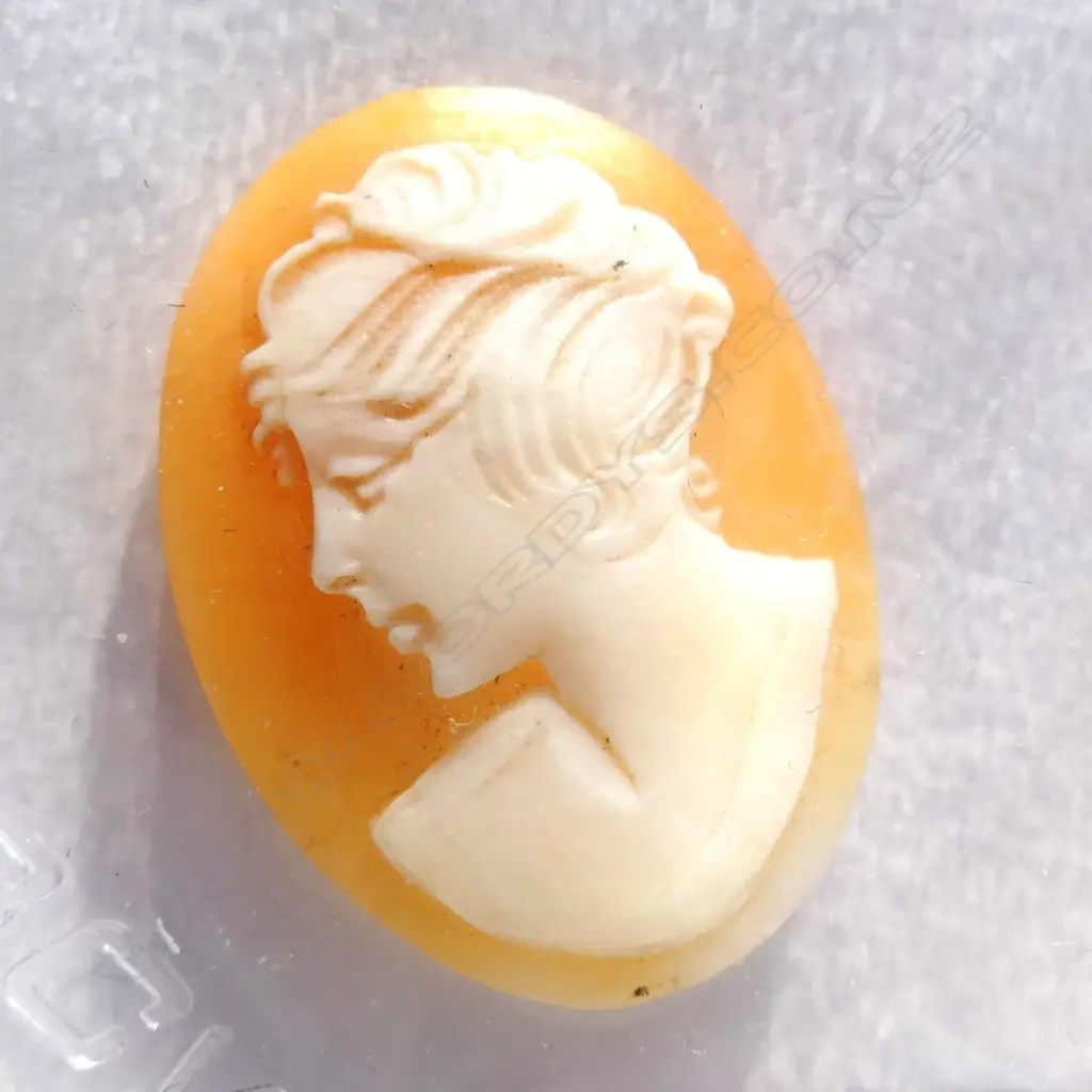 PORTRAIT CARVED CAMEO SHELL 25 x 18mm Image 1++