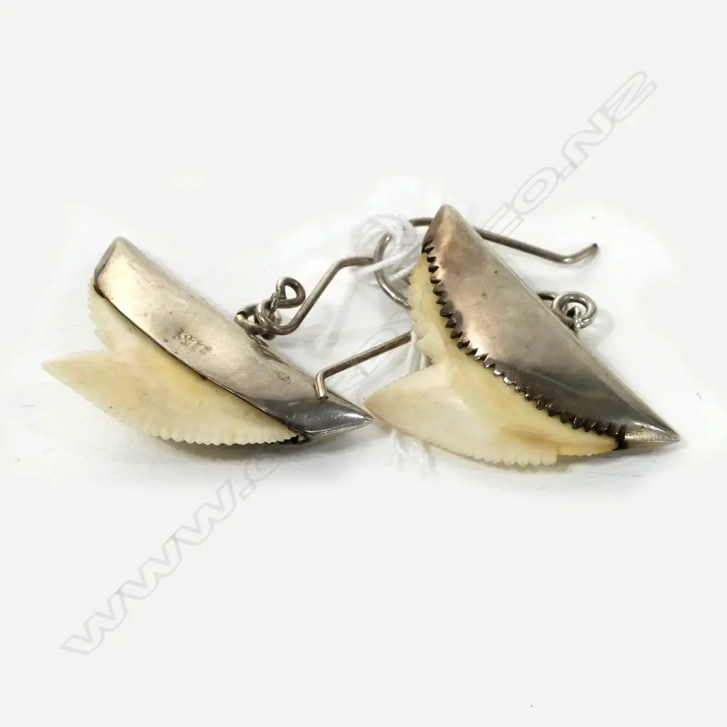 NZ SILVER AND SHARK TOOTH EARRINGS Image 1++
