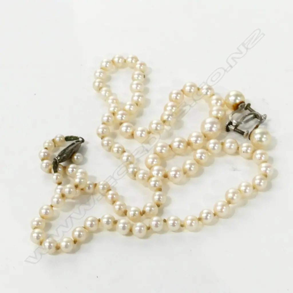 CULT. PEARL NECKLACE/ EARRINGS, IN BLUE BOX Image 1++