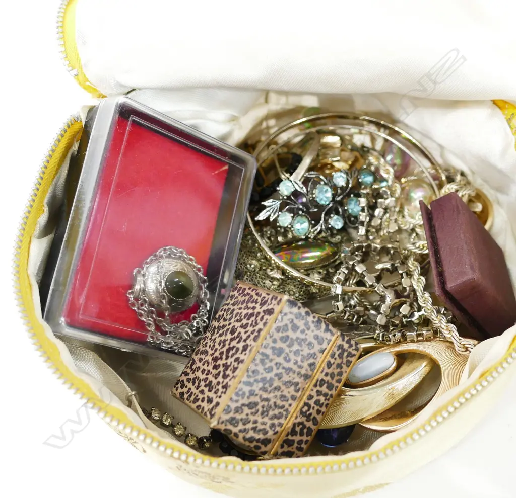 BAG OF PENDENTS/ SILVER ROPE CHAIN AND EARRINGS Image 1++