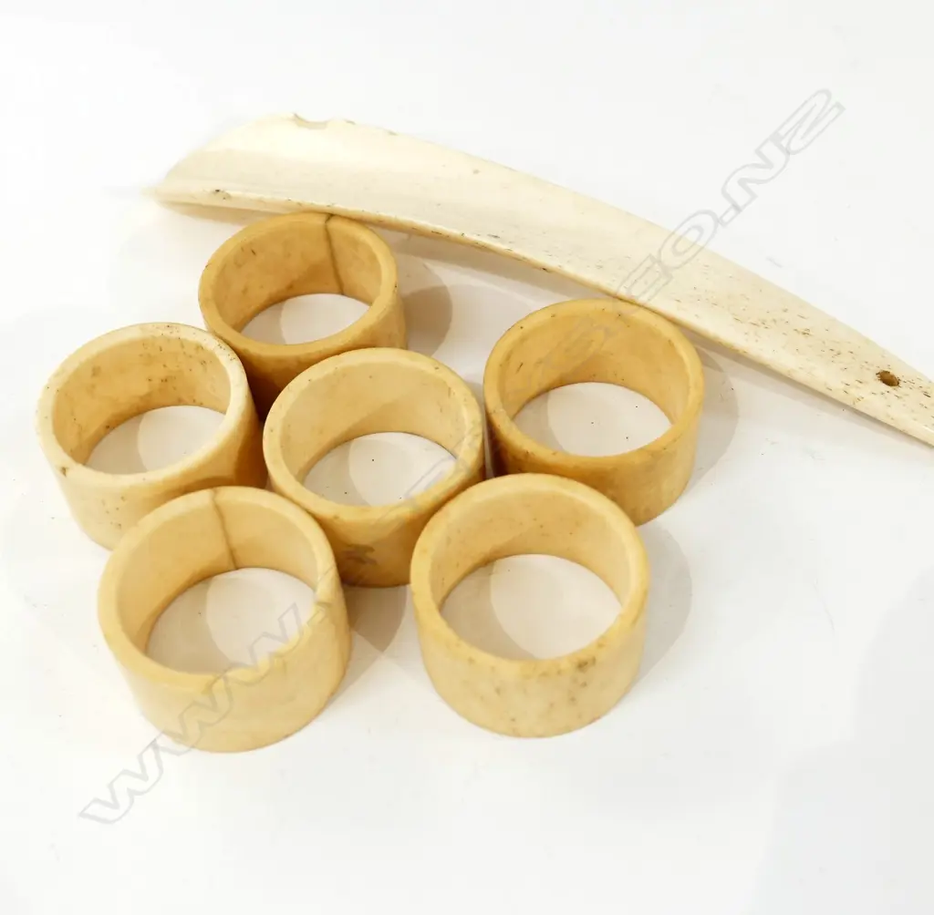 6 BONE SURVETTE RINGS/HORSE SHOE Image 1++