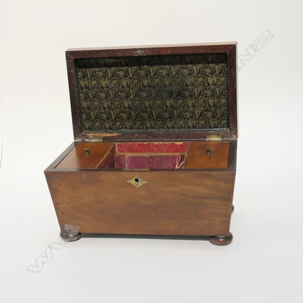 REGENCY WALNUT SARCOPHAGUS SHAPE TEA CADDY Image 1++