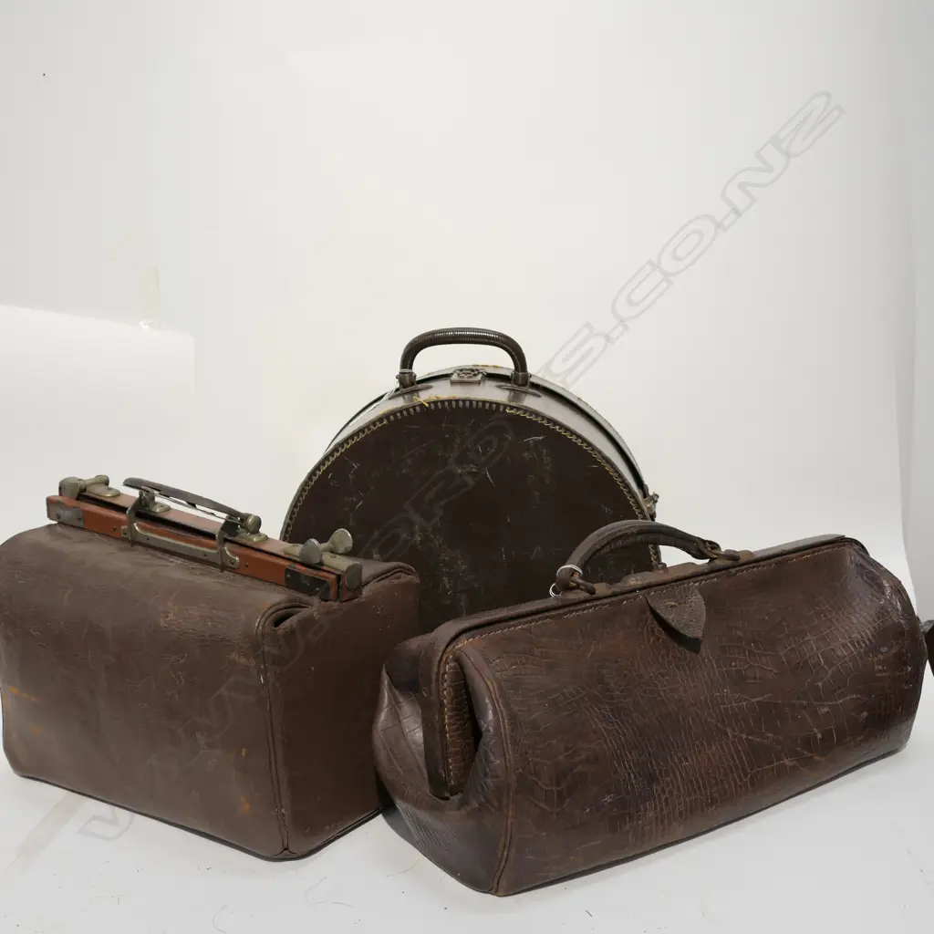 VINTAGE HAT BOX AND TWO GLADSTONE BAGS Image 1++