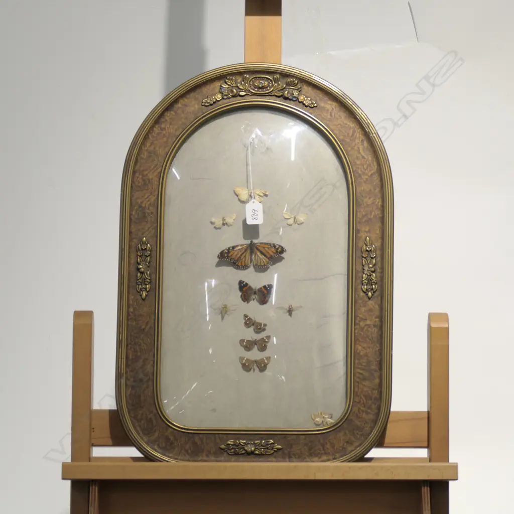 CONVEX FRAME WITH BUTTERFLY'S H 600 MM Image 1++