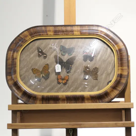 CONVEX FRAMED WITH BUTTERFLYS L 155 MM