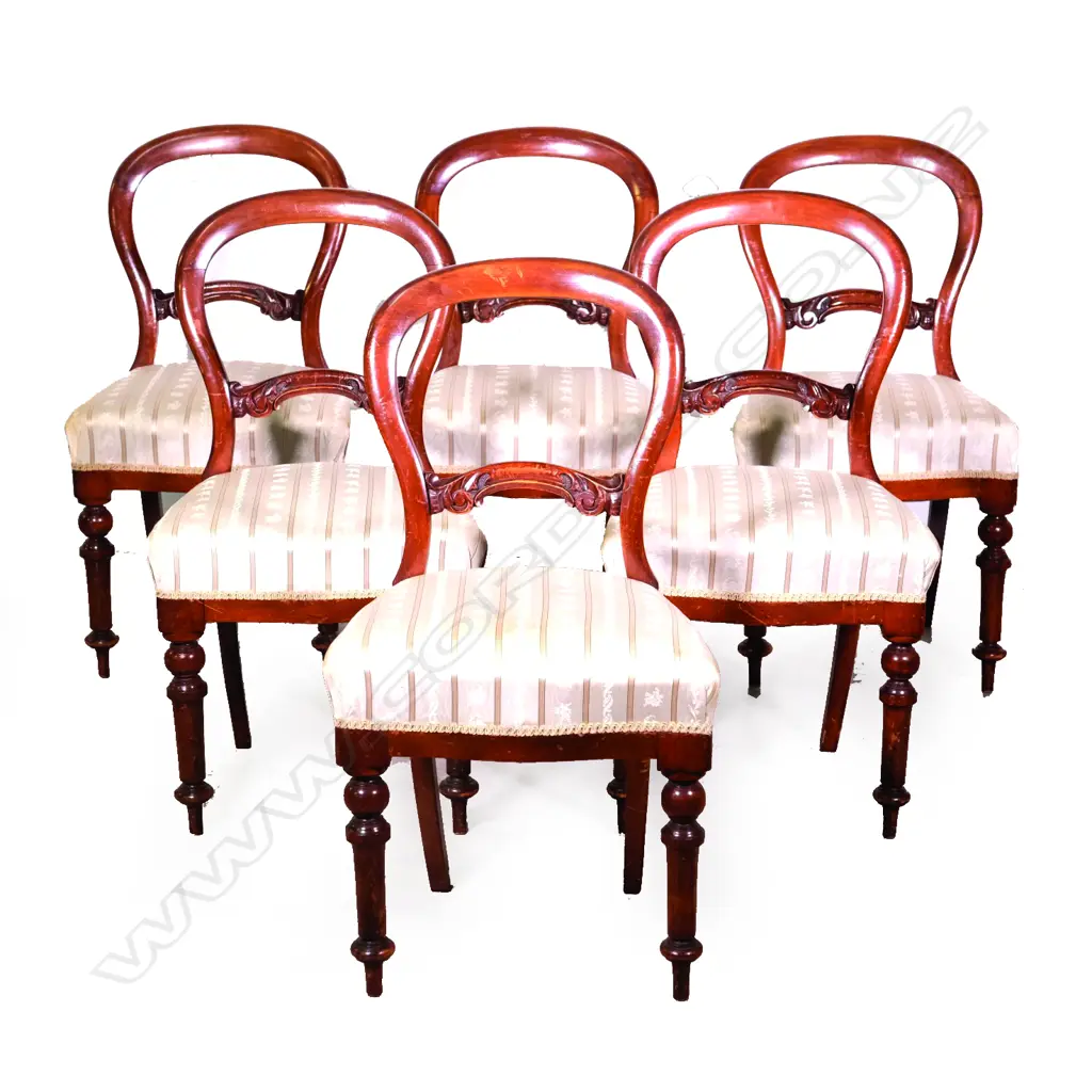 A55 6 KAURI BALLOON BACK DINING CHAIRS Image 1++