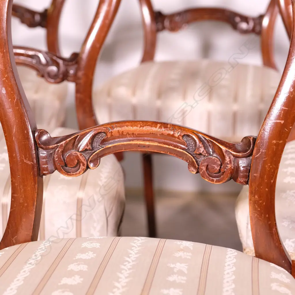 A55 6 KAURI BALLOON BACK DINING CHAIRS Image 1++