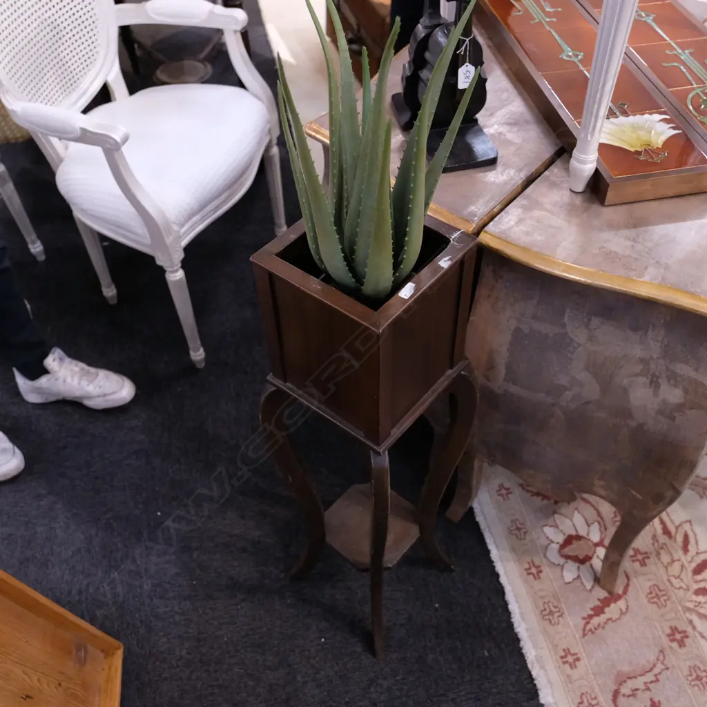 PLANT STAND W/ ALOE VERA PLANT H. 870MM Image 1++