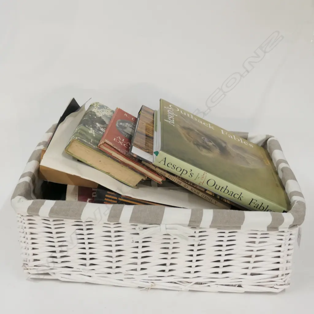 BASKET ASST BOOKS INCL. GOLDIE + RAY CHING ART BOOKS Image 1++