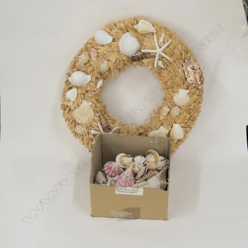 ASST WORLD SHELLS + WREATH Image 1++