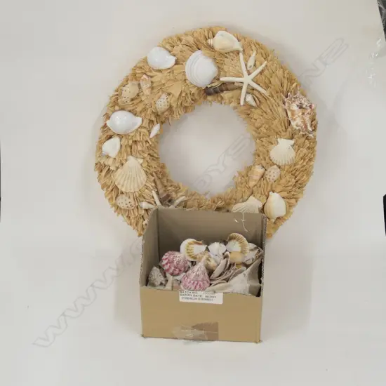 ASST WORLD SHELLS + WREATH