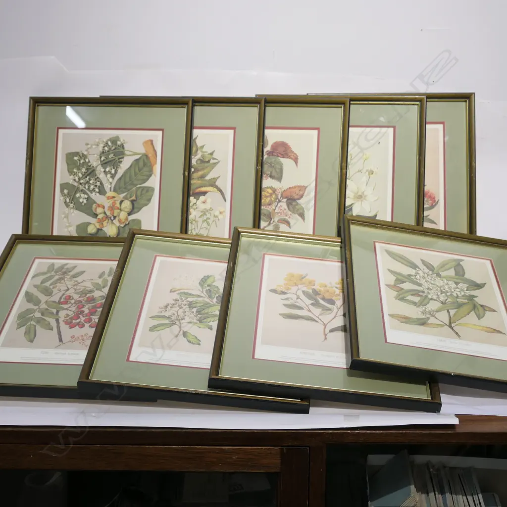 9X FRAMED VINTAGE BOTANICAL PRINTS  Image 1++