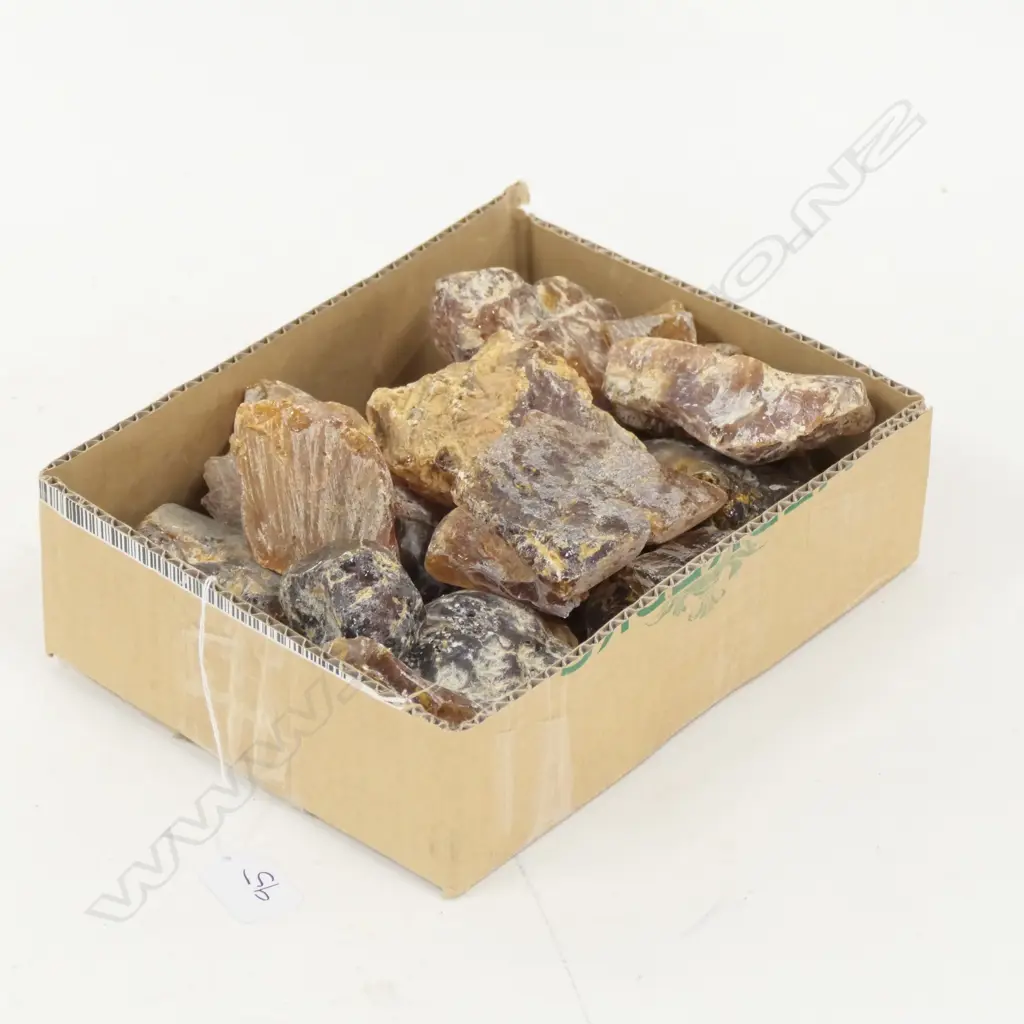 LOT ASST KAURI GUM NUGGETS Image 1++