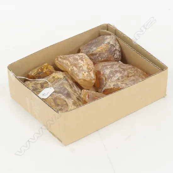 6 ASST KAURI GUM NUGGETS / BOULDERS