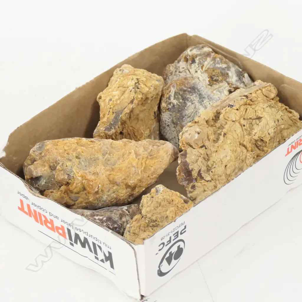 6 KAURI GUM BOULDERS Image 1++