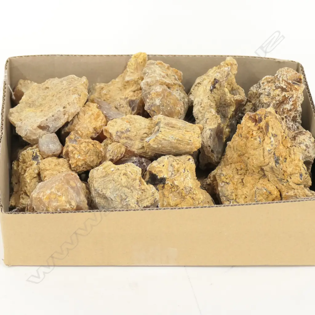 LOT ASST KAURI GUM NUGGETS + BOULDERS Image 1++