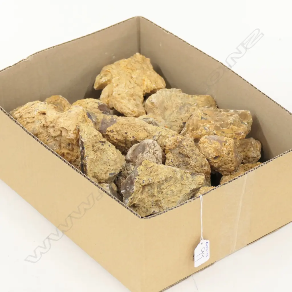 LOT ASST KAURI GUM NUGGETS + BOULDERS Image 1++
