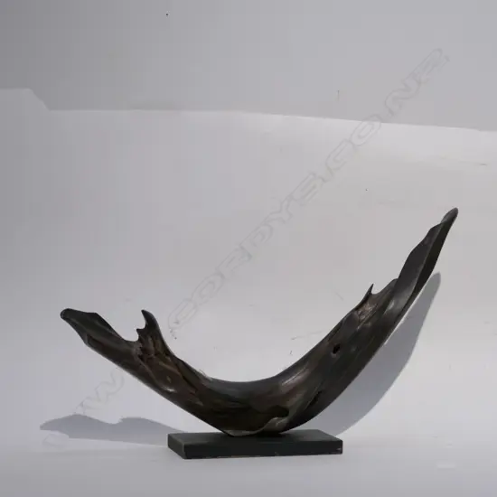 DRIFT WOOD SCULPTURE L 600 MM