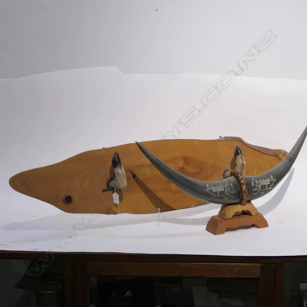 WALL MOUNT HOOF RACK + MOUNTED ETCHED HORNS Image 1++