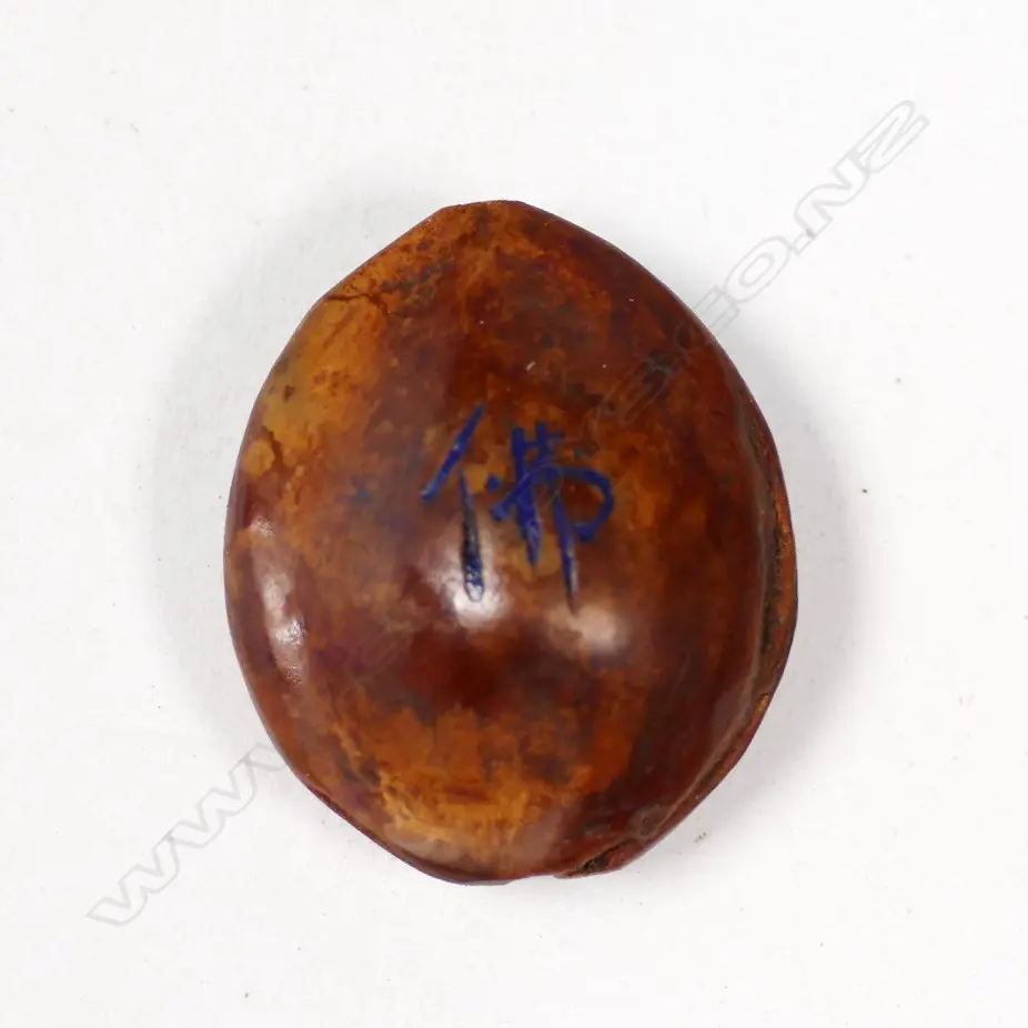 SMALL NUT CARVED WITH BUDDHA Image 1++