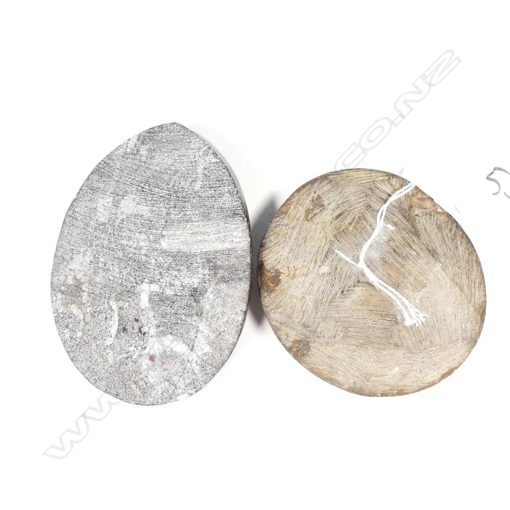 2 POLISHED FOSSIL SPECIMENS L 800 MM Image 1++