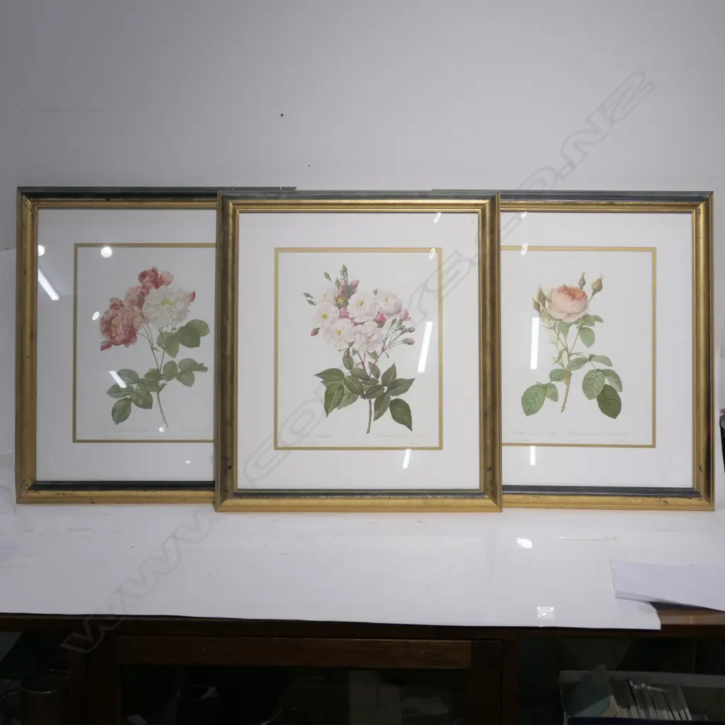 THREE GILT FRAMED FLORAL PRINTS Image 1++