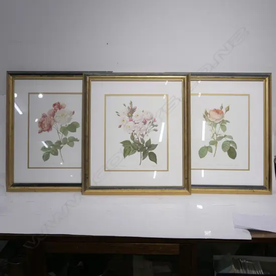 THREE GILT FRAMED FLORAL PRINTS
