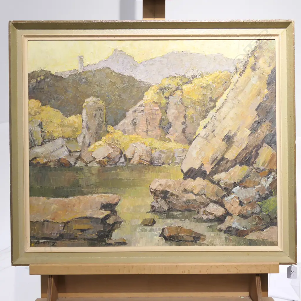 JOYCE McMURTRY OIL ON BD 'GOLDEN BAY COASTLINE' Image 1++
