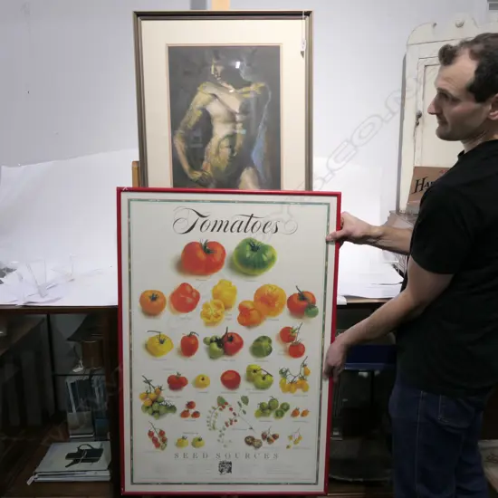 CHARLES ROSE - MALE PASTEL NUDE - FRAME 510 X 690 + ANOTHER PRINT