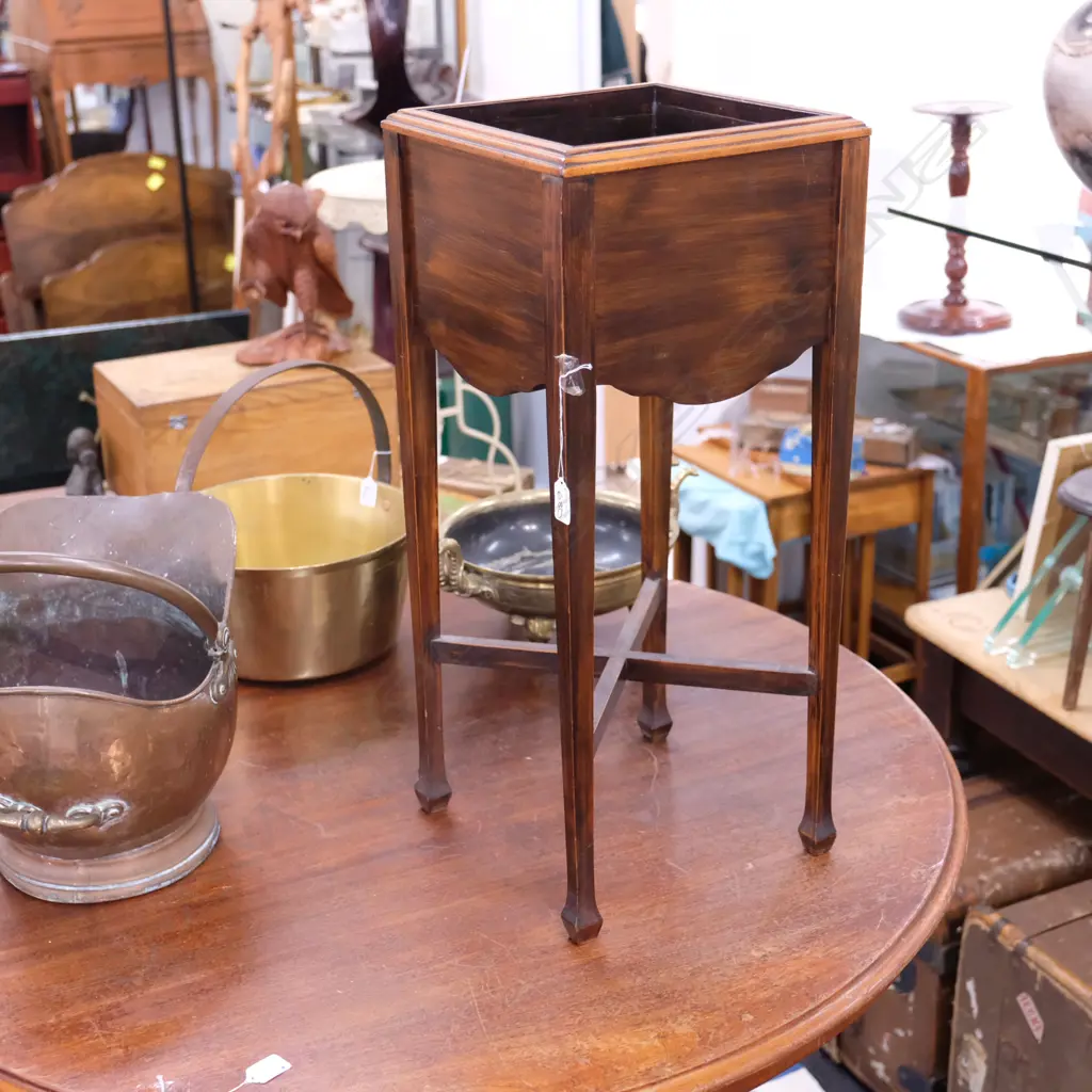 EDW. PLANT STAND H. 700MM Image 1++