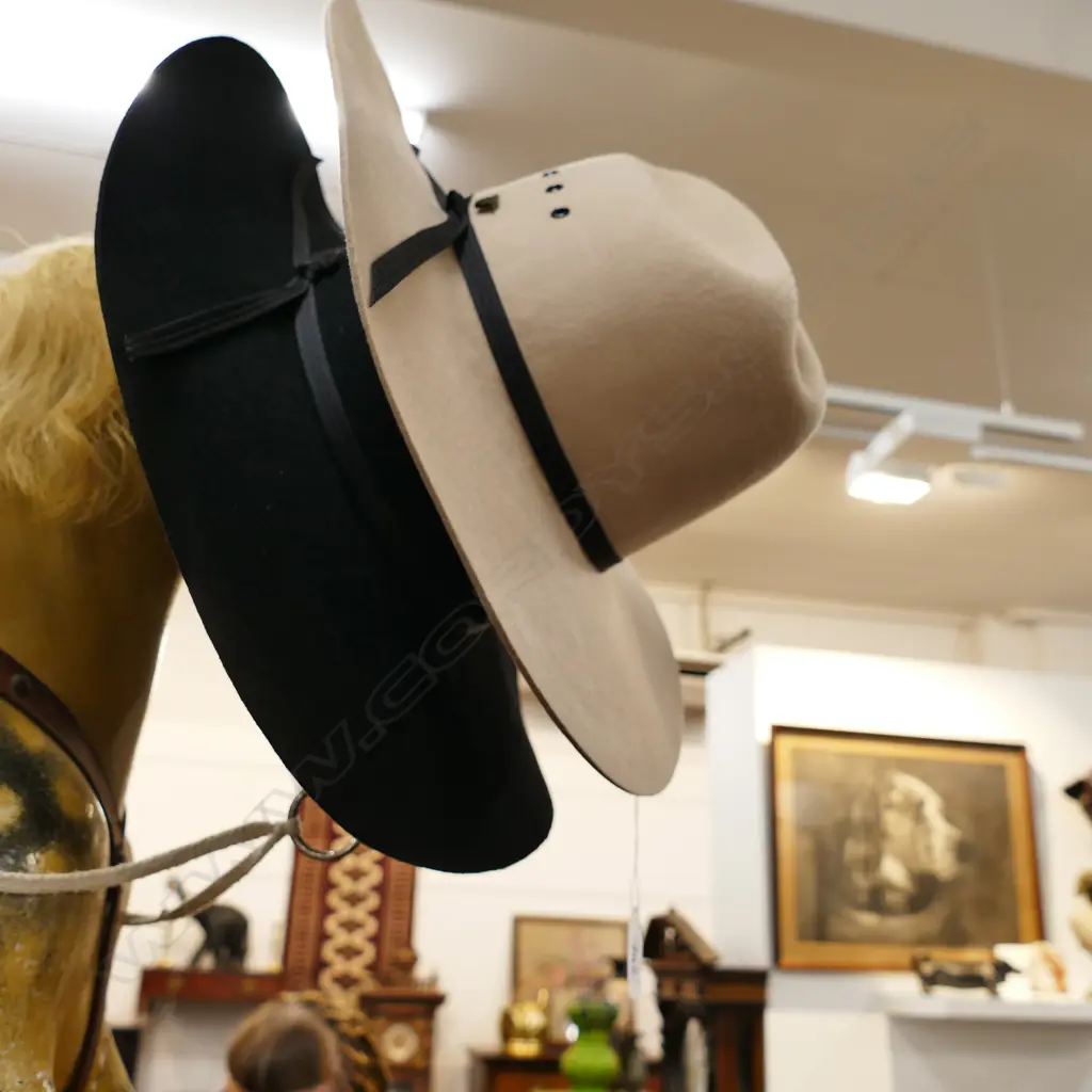 TWO PURE WESTON GENTS HATS Image 1++