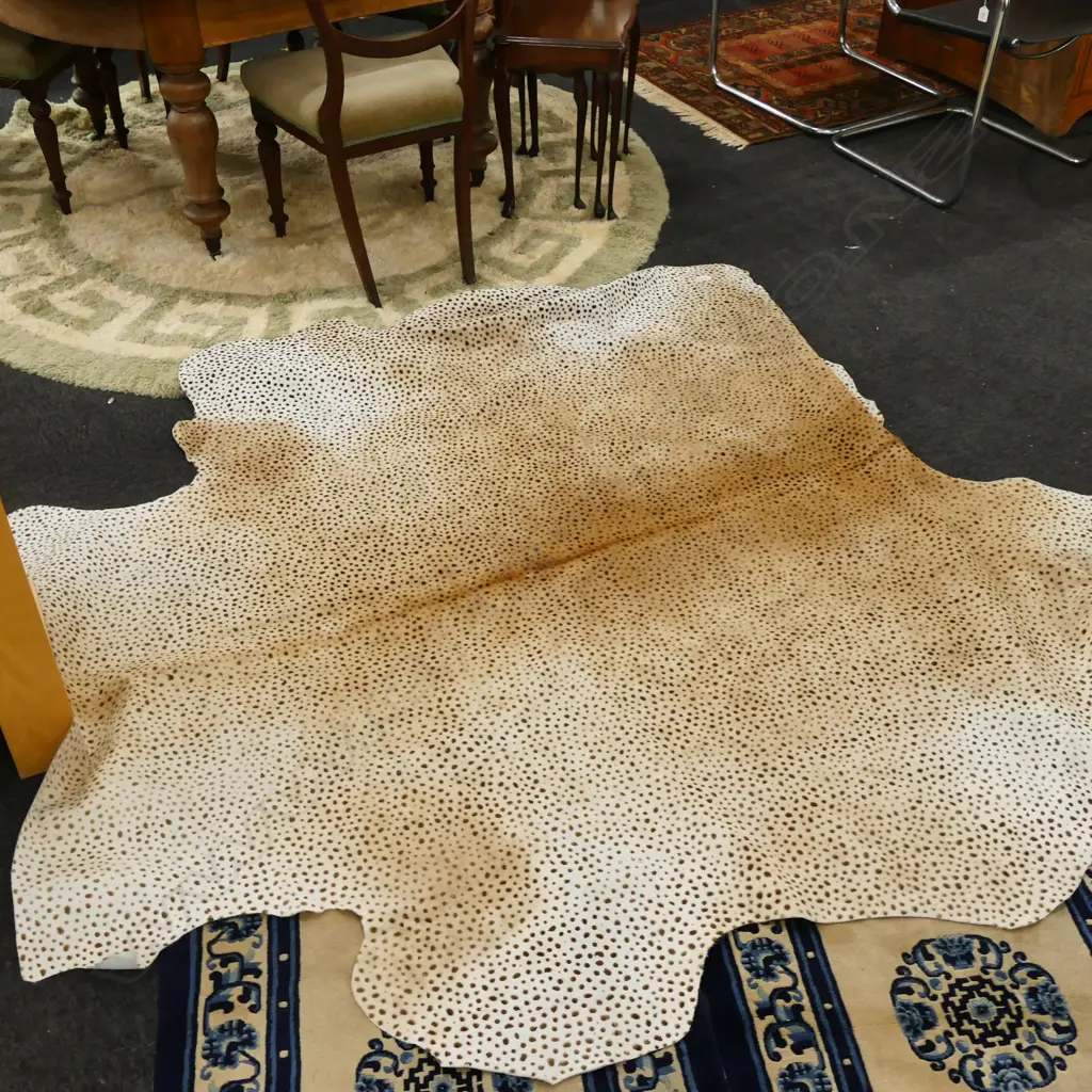 DYED SAFARI STYLE COWHIDE RUG Image 1++