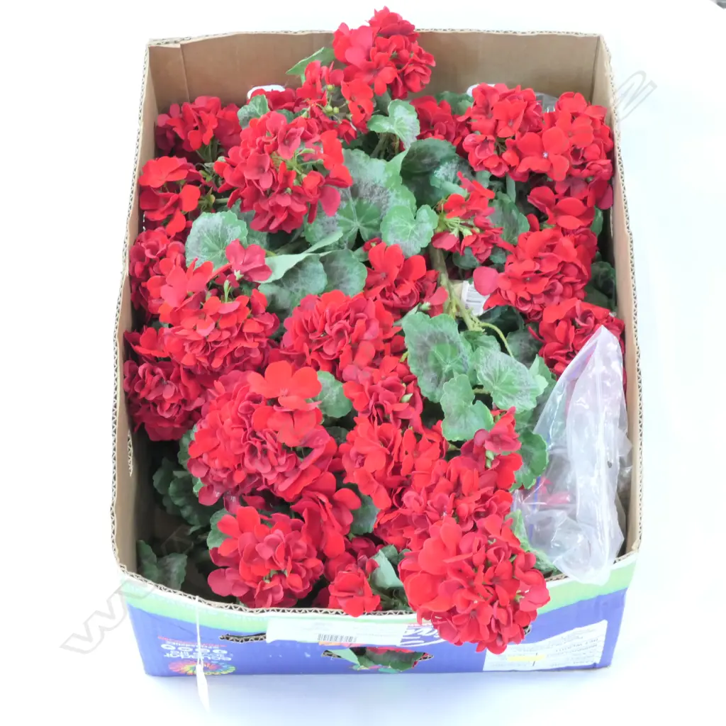 LOT ASST ARTIFICIAL FLOWERS Image 1++