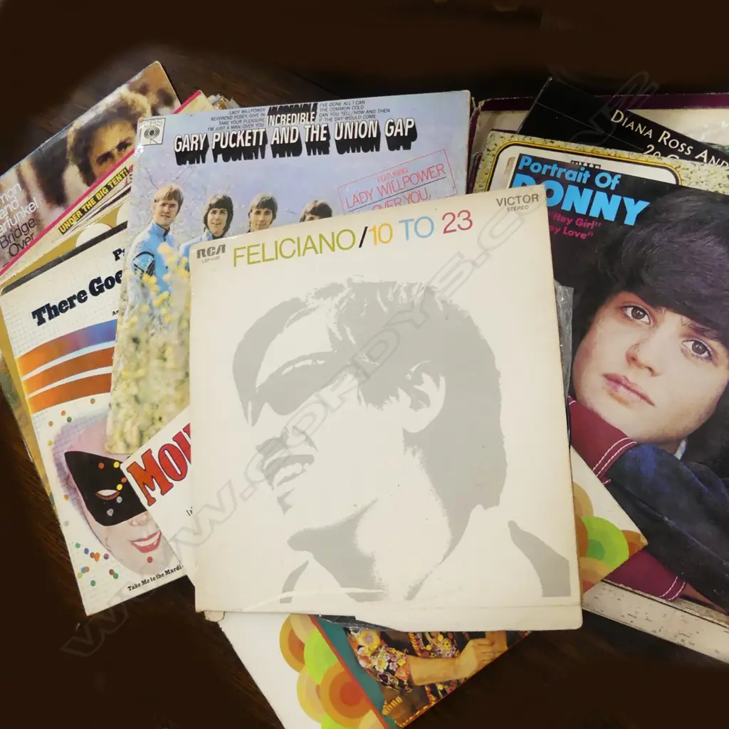 TWO CARRYBAGS OF LPS; INCL PAUL SIMON, DONNY OSMOND, MOUTH N MCNEIL ETC Image 1++