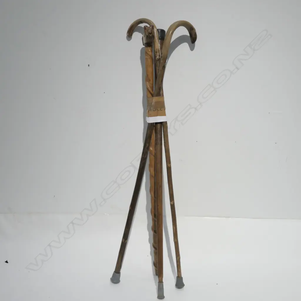 4 ASST WOODEN WALKING STICKS Image 1++