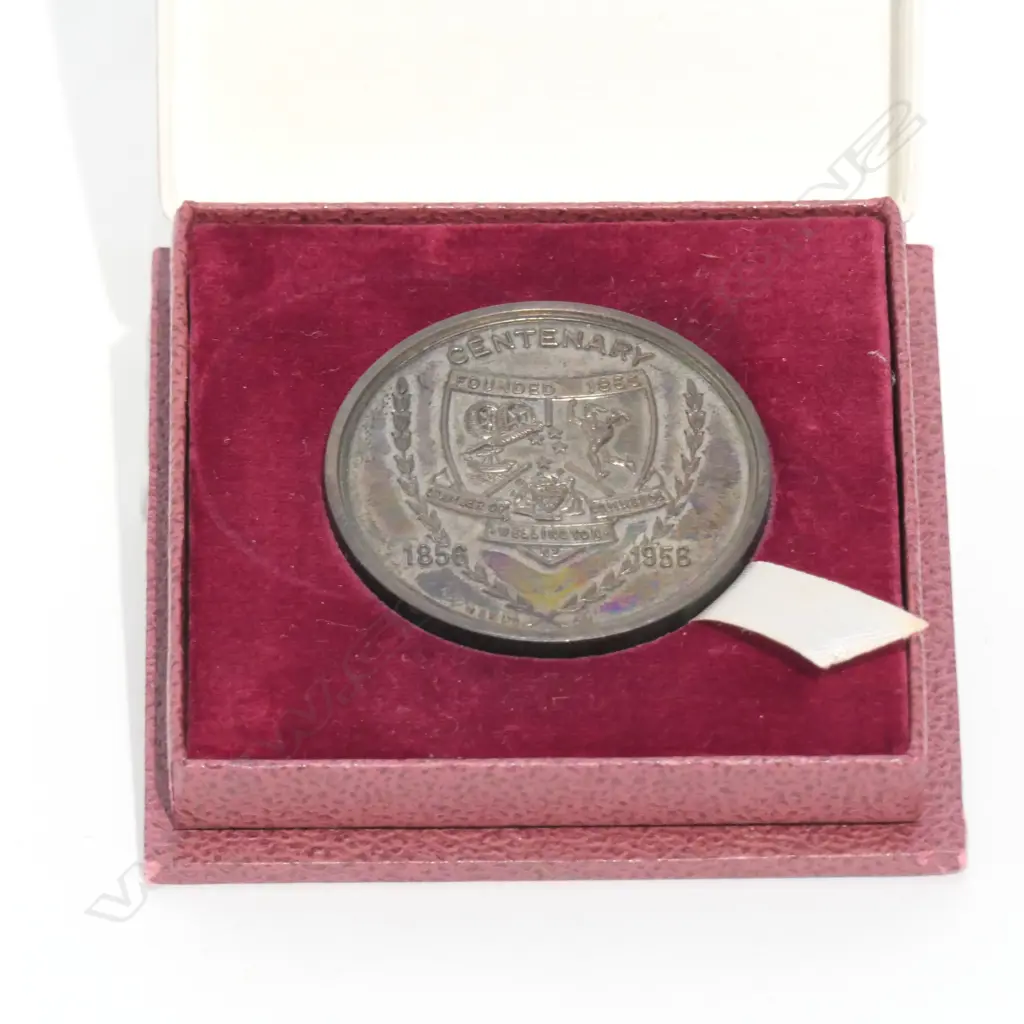 CENTENARY PLIMMERS NOAH'S ARK MEDAL BOXED Image 1++