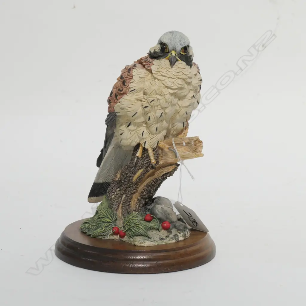RUSSELL WILLIS COLLECTION--KESTREL--RESIN Image 1++