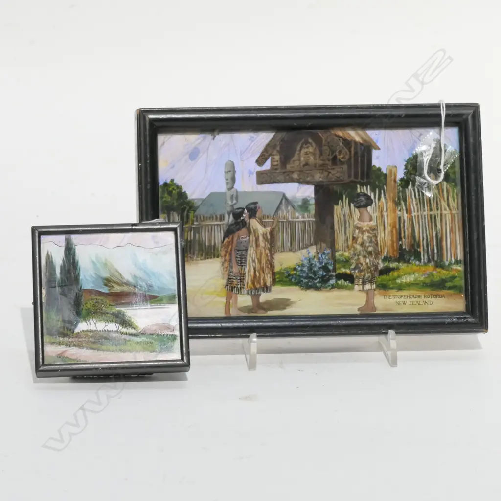 2 BUTTERFLY WING PICTURES - NZ SOUVENIR IMAGES Image 1++