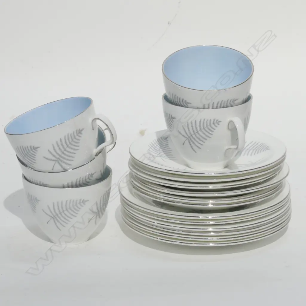 FOLEY BONE CHINA C.S.P. FERN DESIGN Image 1++