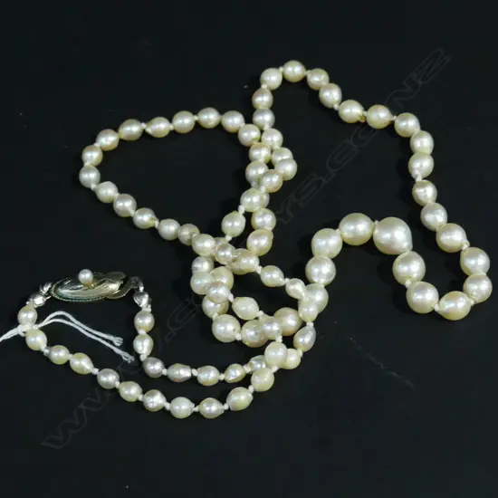 CULTURED PEARL NECKLACE REPLACEMENT VALUATION $1695 (E18)