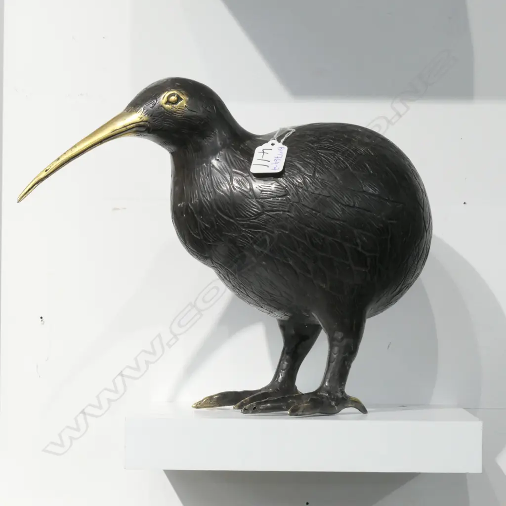 BRONZE KIWI #2 Image 1++