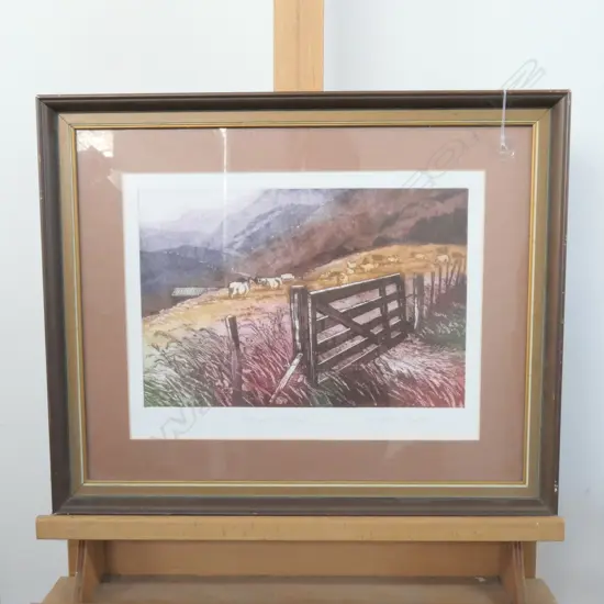 CYNTHIA TAYLOR ETCHING 'ISLAND SHEEP' 61/80