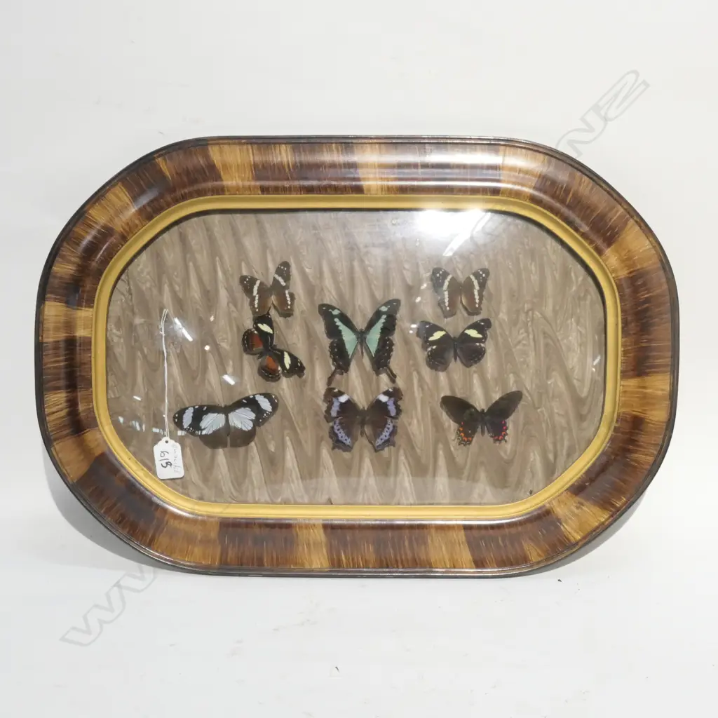 CONVEX MIRROR WITH BUTTERFLYS L. 560 Image 1++