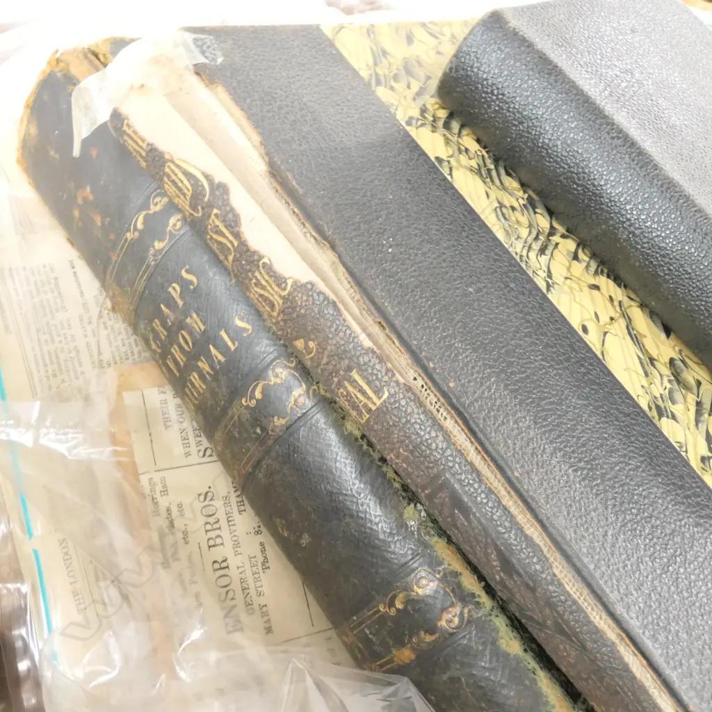 LOT ASST PRINTED PAPERS ETC Image 1++