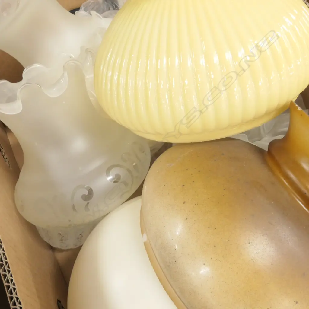 LOT ASST LIGHT SHADES Image 1++