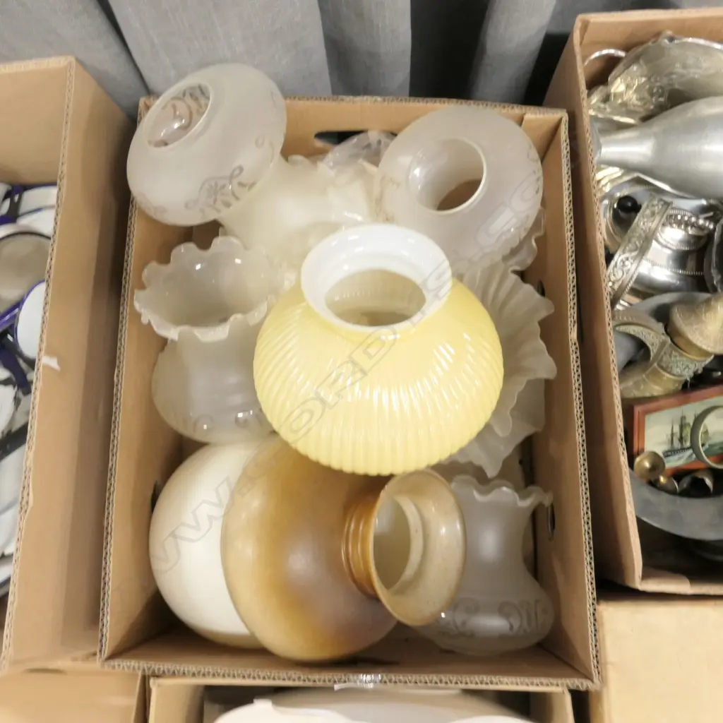 LOT ASST LIGHT SHADES Image 1++