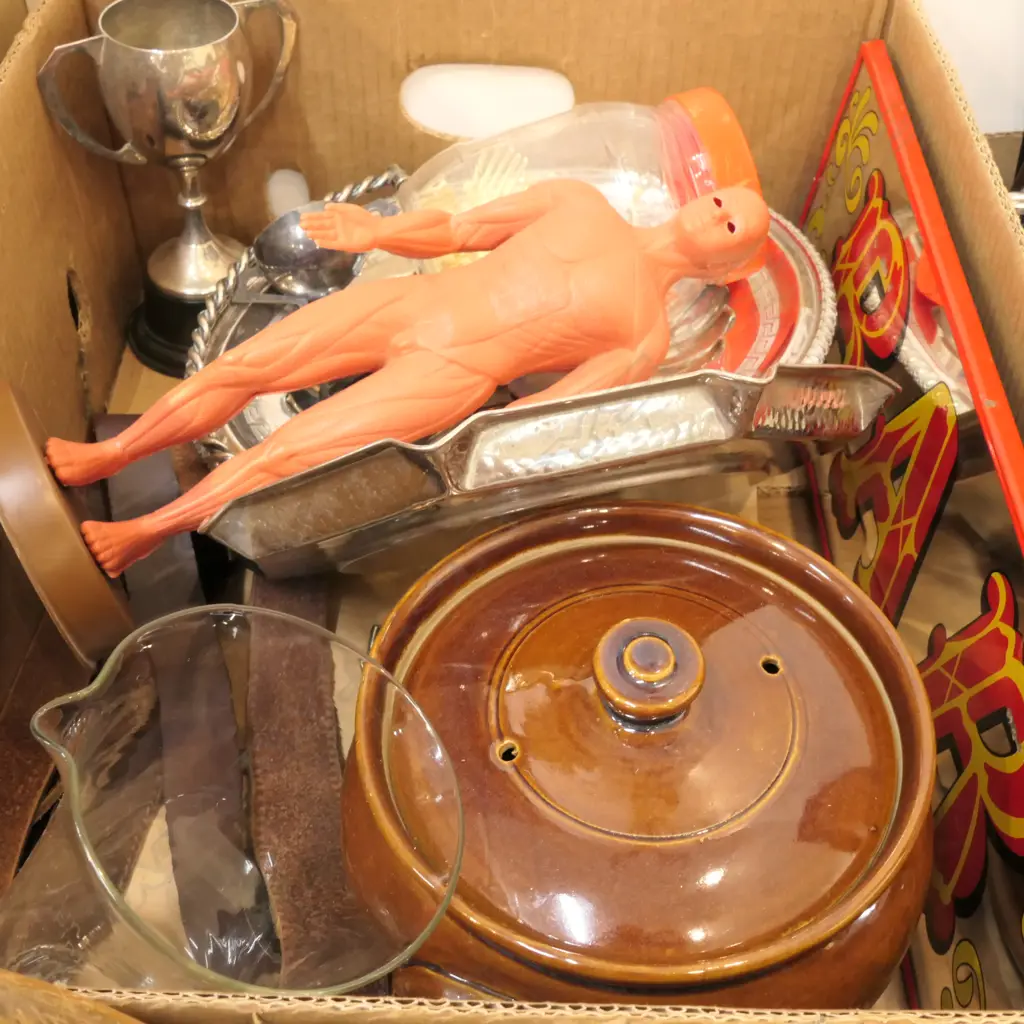 BOX LT VINTAGE ANATOMY MODEL  / 1937 ROYAL TRAY / EP DISH / RETRO 'BAR' SIGN / TROPHIES / INDUSTRIAL VASE / LEATHR BELTS Image 1++